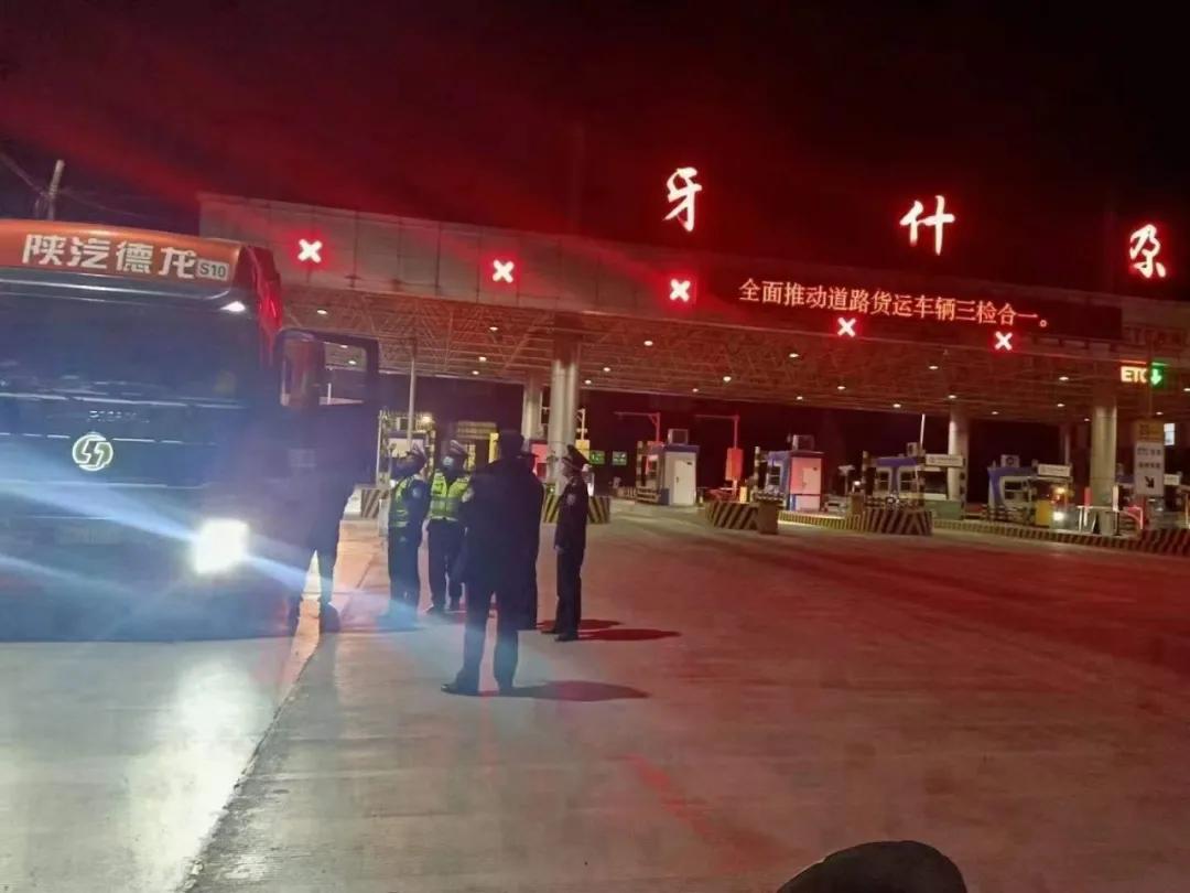 青海省疫情通告文件发布及其影响深度解析