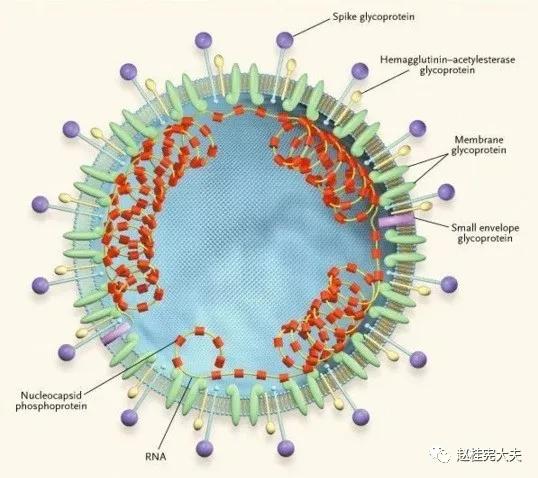青海西宁新冠病毒最新动态，防疫进展及应对措施