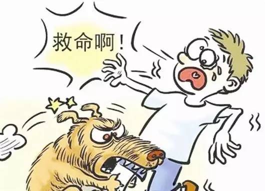 沈阳发现狂犬病例，警惕狂犬病威胁