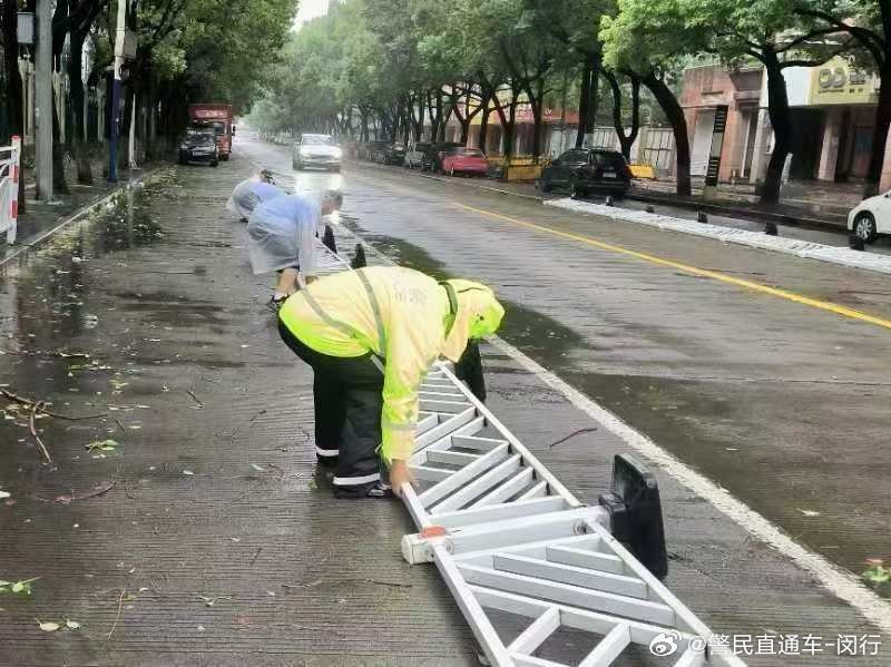 上海迎战台风，城市力量与民众坚韧共筑防线