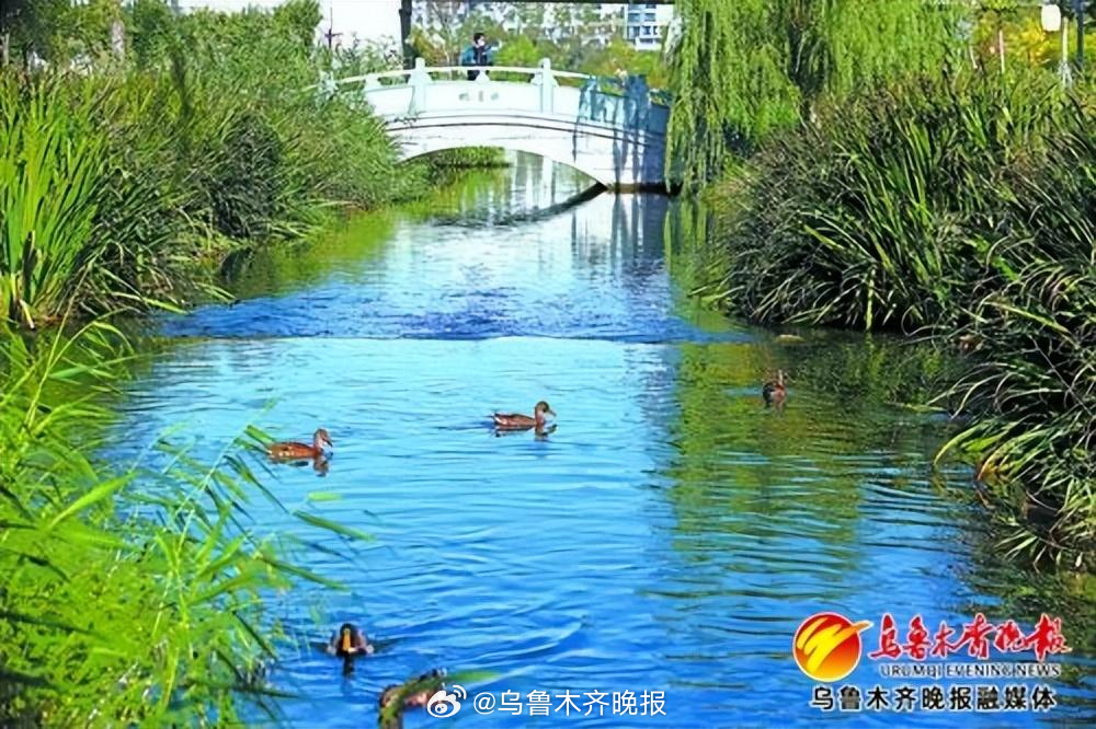 新疆乌鲁木齐水利厅，推动水资源可持续发展的重要力量