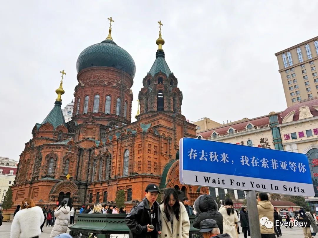 疫情下的哈尔滨与广州，城市故事对比