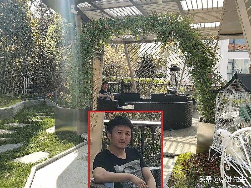 上海疫情与成都最新动态概览