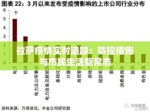 上海疫情与拉萨现状深度探讨