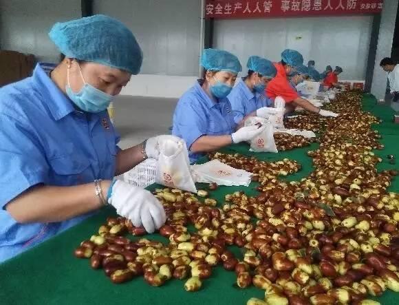 上海传染病最新动态与银川疫情紧密观察报告