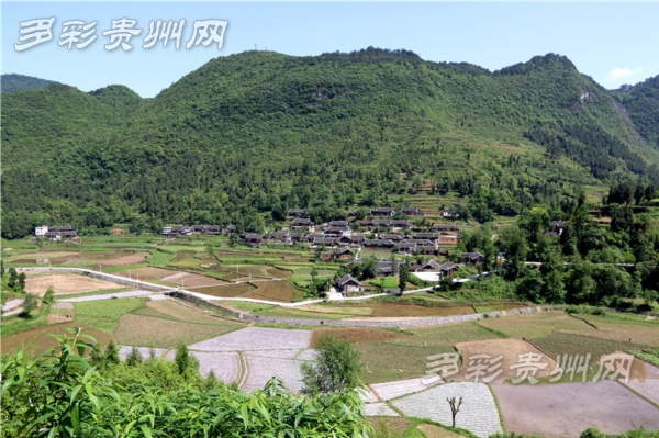 贵州思南县金星村的美丽变迁与乡村振兴之路