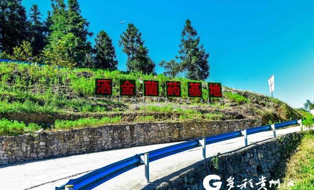 贵州思南县金星村的美丽变迁与乡村振兴之路
