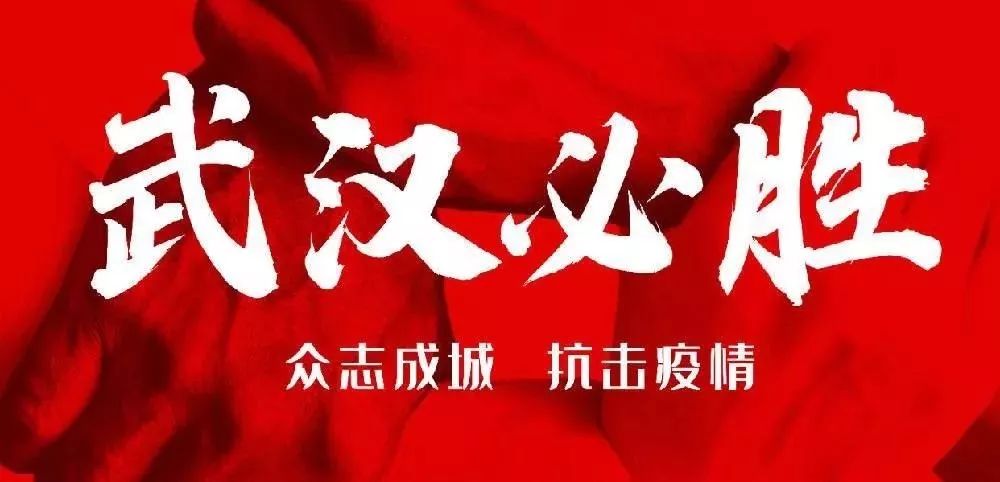 贵州省疫情最新动态，众志成城，共克时艰
