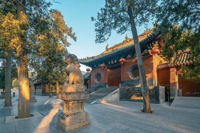河南郑州疫情报告，挑战与应对策略