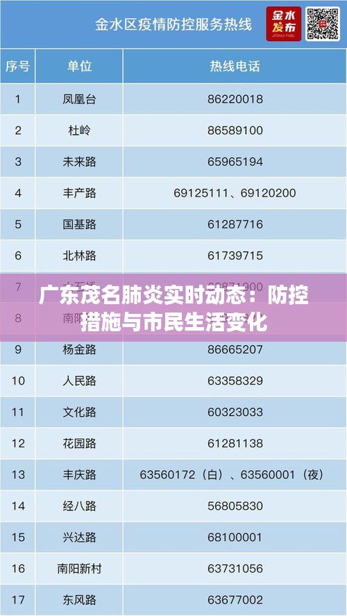 广东省疫情防控实时查询，动态更新与公众力量的参与