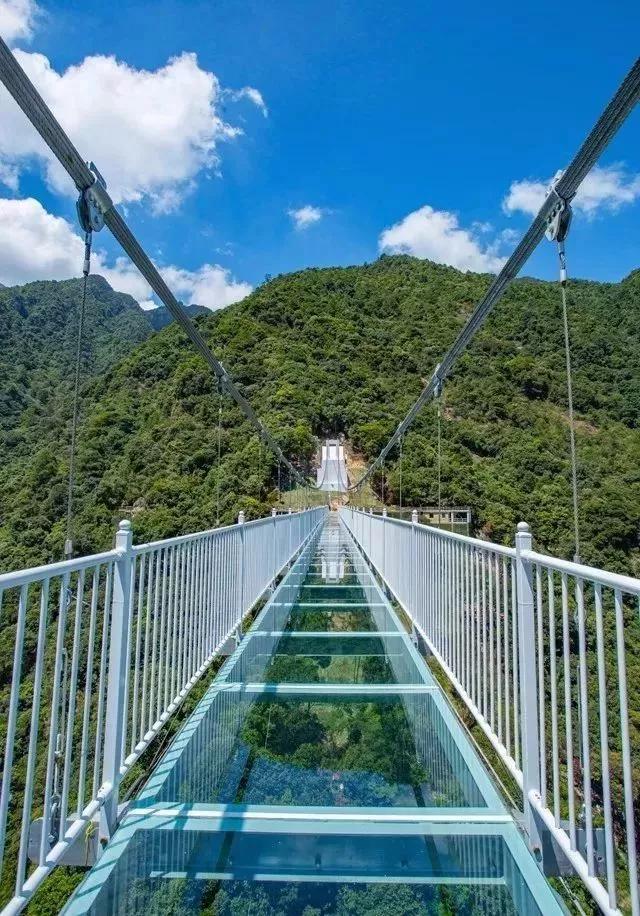 广东省疫情现状分析与应对策略