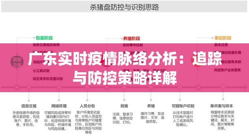 广东省疫情实时数据查询，应对策略与公众意识关注焦点