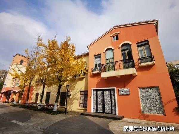 上海新冠肺炎情况的全面观察与深度解析