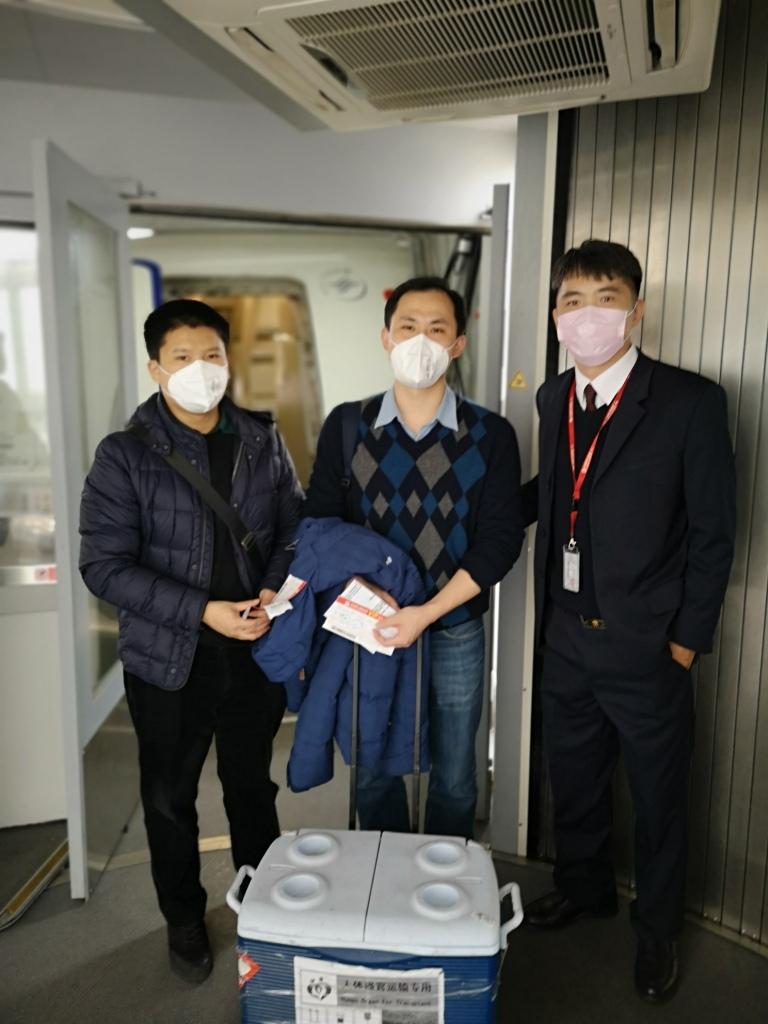 上海新冠肺炎最新数据官网报告深度解析