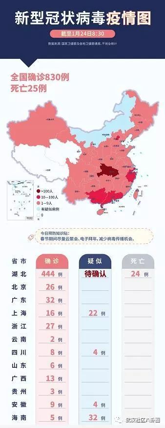 上海与甘肃新冠疫情最新动态概览