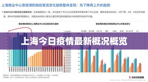 上海今日疫情状况及防控措施概述