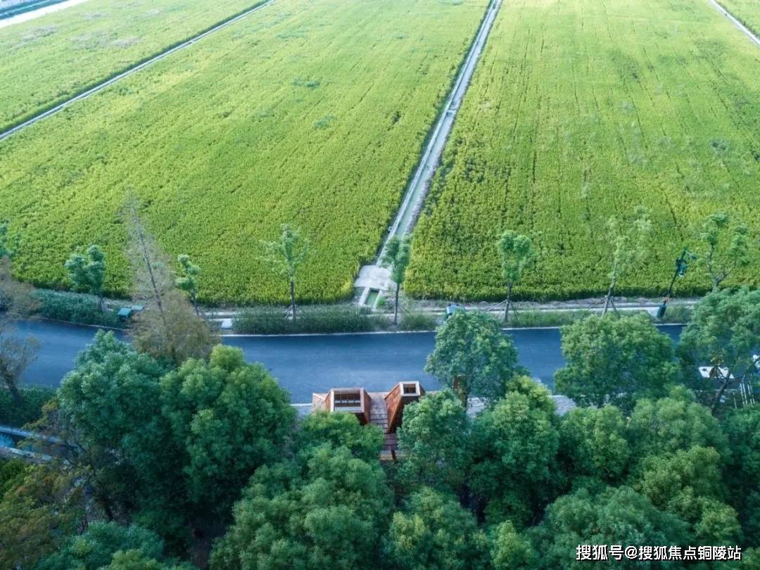 上海疫情最新通报，坚守与前行之路