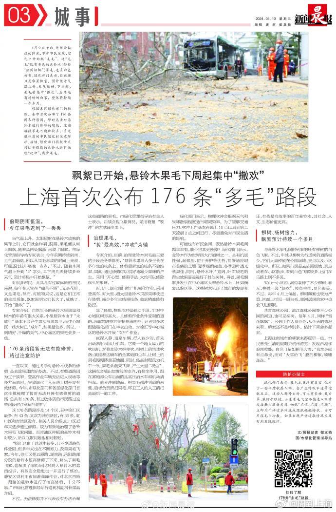 上海今日新闻动态，城市脉搏跃动不停