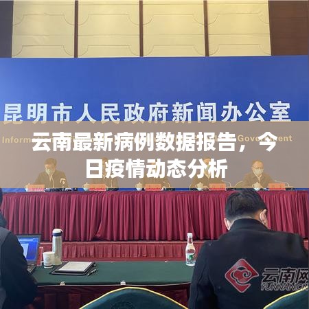 云南省疫情病例表分析报告概览