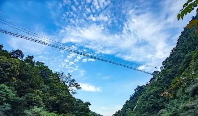 广东省疫情最新概况概述