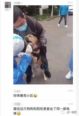 广东省与南京疫情形势综合分析报告