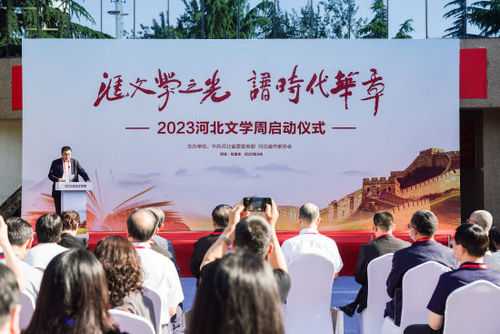 河北石家庄，疫区挑战与希望的交织