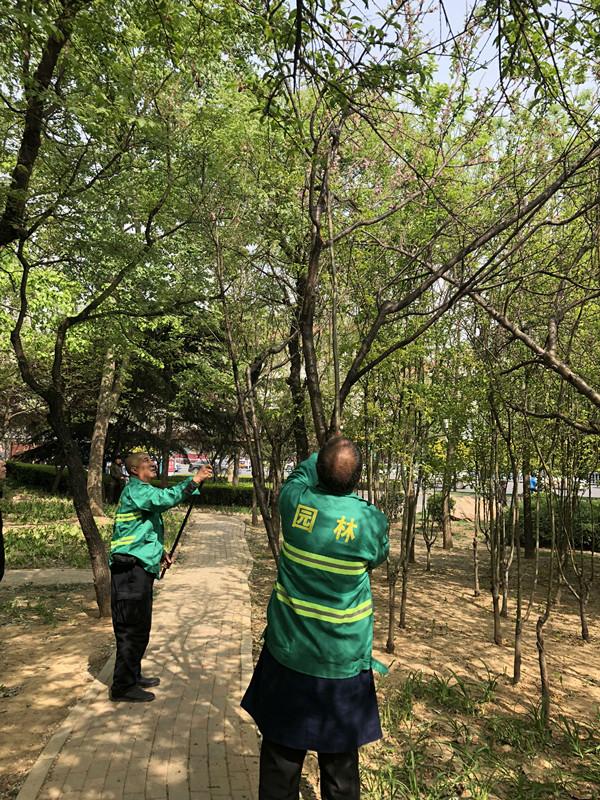 石家庄现状概览