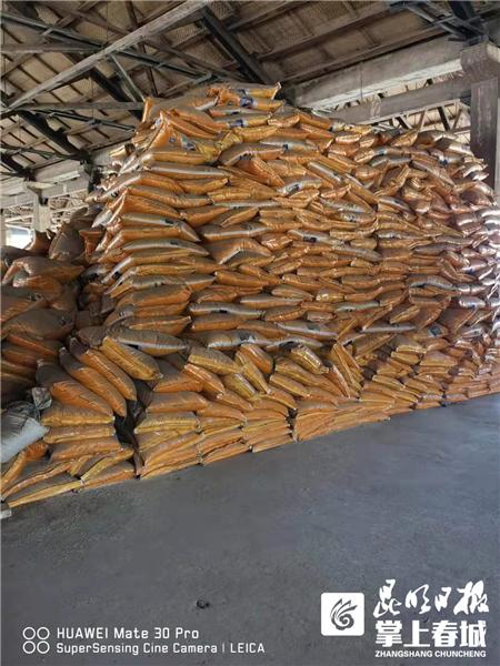 云南省疫情严重地区面临的挑战与应对策略
