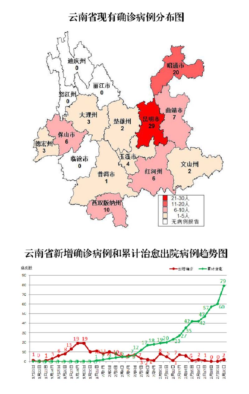 云南省境外输入疫情病例情况深度分析