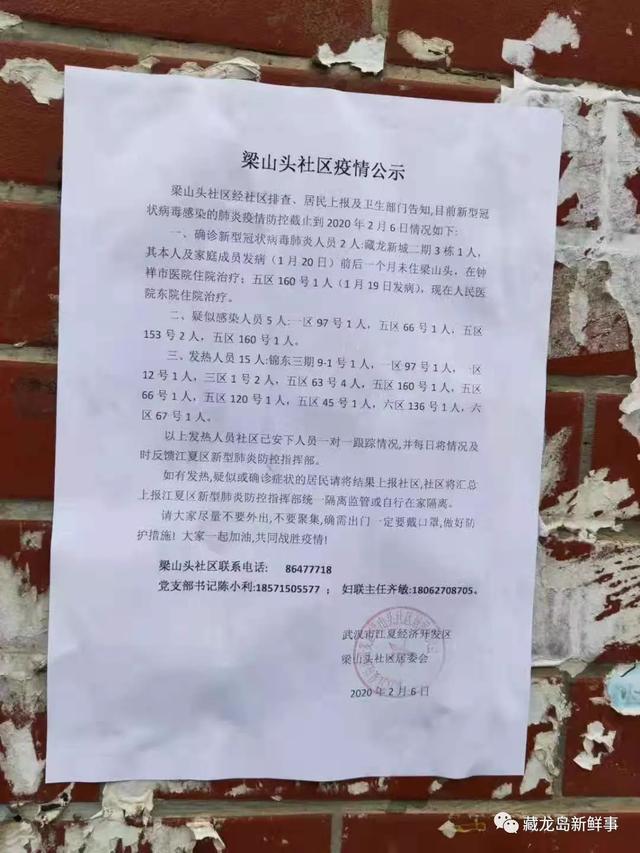 河北疫情通知公告与台北最新动态概览