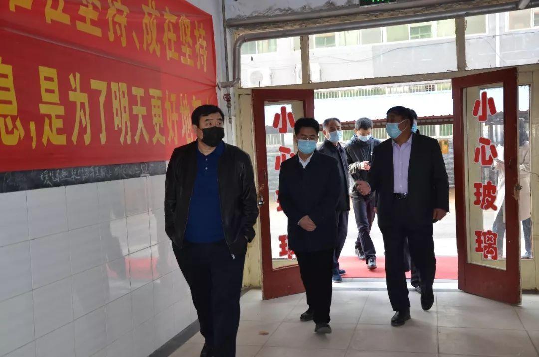 河北疫情通知公告与南宁最新动态概览