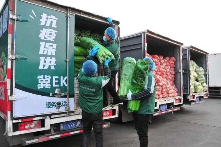 河北南宫抗疫战，坚定守护家园的决心