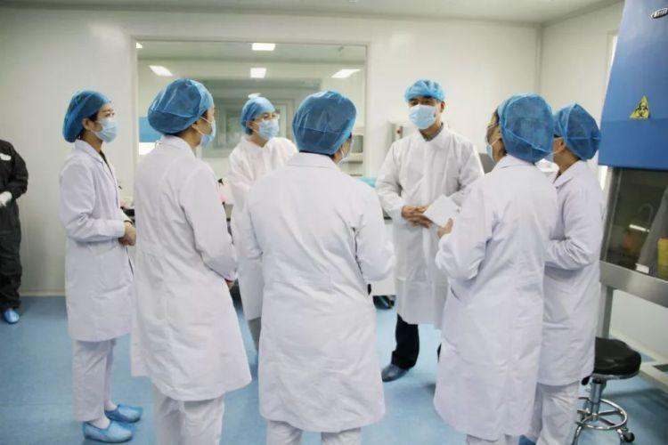 河北省肺炎疫情，挑战与应对策略