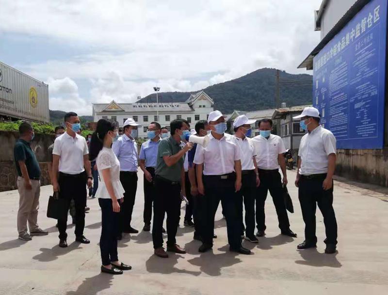 云南省疫情新增挑战及应对策略