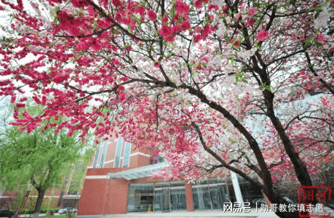 河北省最新疫情数据公布，深度分析与动态观察