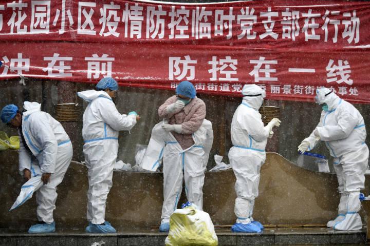 河北省石家庄市最新疫情报告深度解析