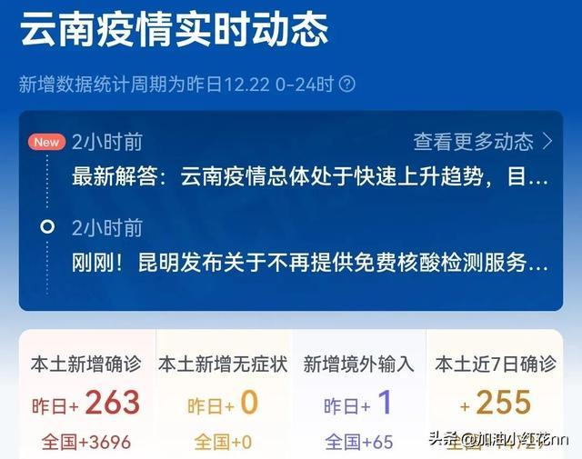 广州疫情数据发布，透明与精准的防疫信息传递