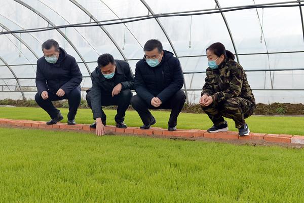 黑龙江省疫情病例，防控措施与当前形势分析