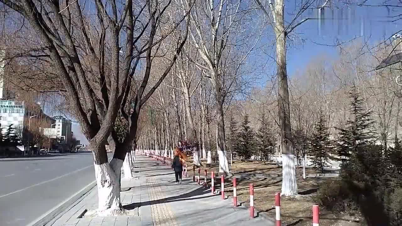 澳门疫情新政与拉萨最新消息，双城防疫动态解析