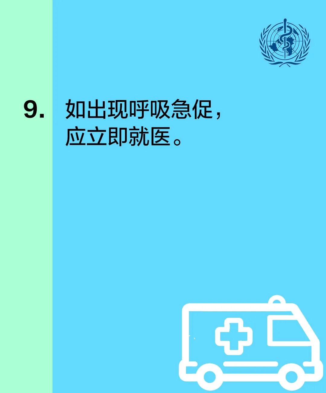 澳门香港疫情通关，联防联控下的挑战与机遇