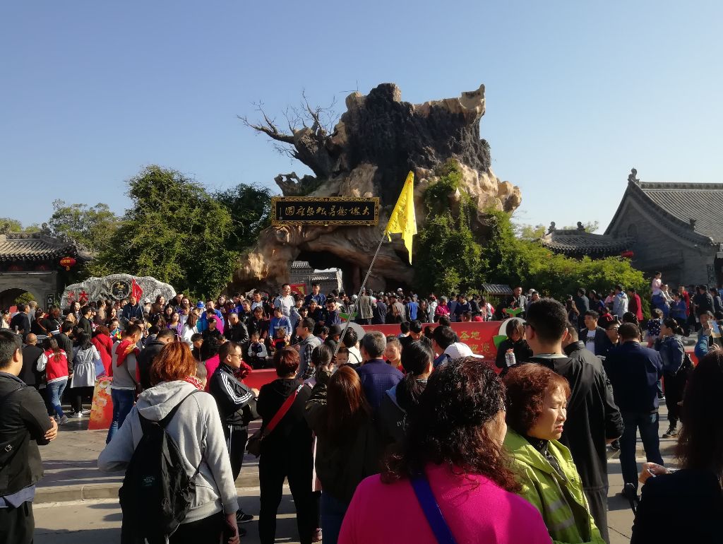 澳门回沈阳，一场跨越千里的文化寻根之旅