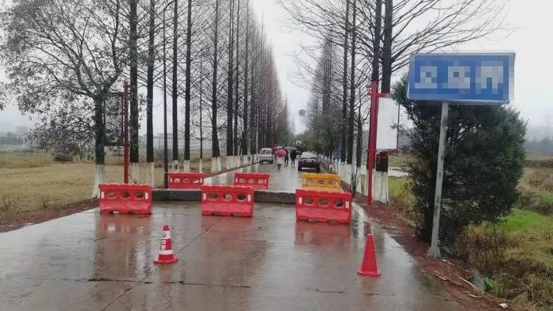 河南省疫情防控，科学施策与全民共筑的健康防线