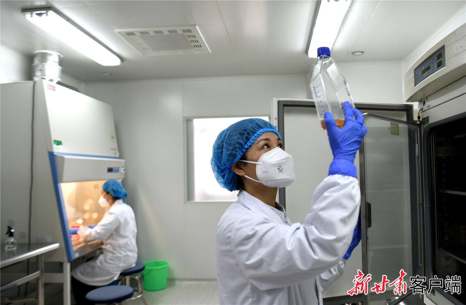 兰州疫苗与北京疫苗，中国疫苗研发的双城记