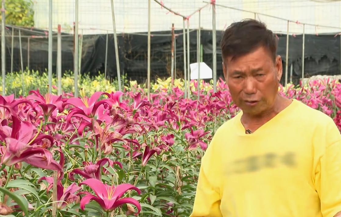 香港疫情最新报告，防控措施升级与市民应对指南