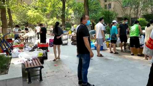 郑州又封城了没？疫情动态与市民生活的真实观察