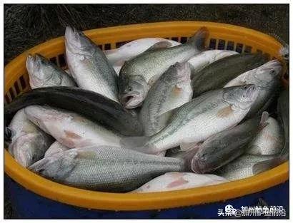 辽宁省沈阳封城了吗/沈阳封城了吗新型肺炎