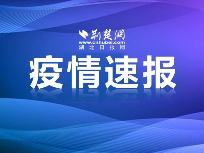 湖北省广疫情通报（湖北通报全省疫情最新进展情况）