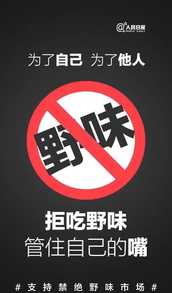 【疫情香港澳门禁止通行了吗,澳门香港疫情通关】