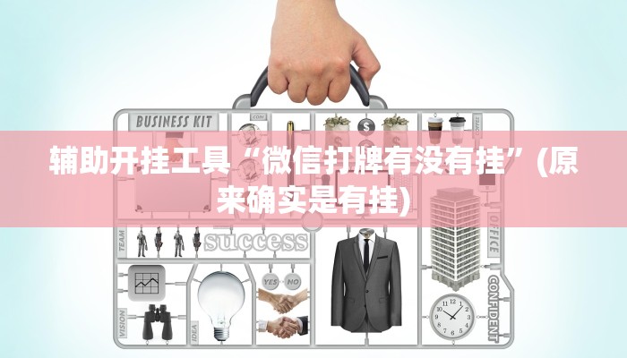 辅助开挂工具“麒麟大厅真的有挂吗”(原来确实是有挂)