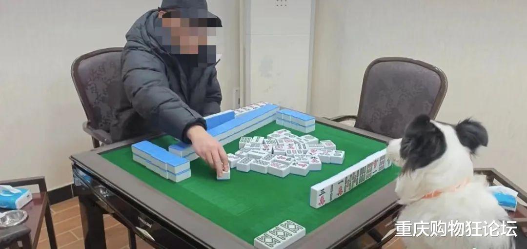 辅助神器“川南麻将有挂吗”(确实是有挂)-知乎